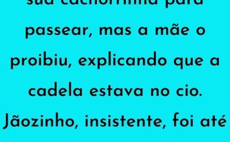 Jãozinho queria sair com a sua cachorrinha para passear