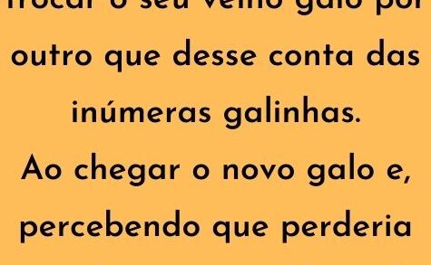 O fazendeiro resolve trocar o seu velho galo