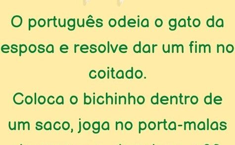 O português odeia o gato da esposa