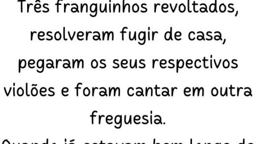 Três franguinhos revoltados resolveram fugir de casa