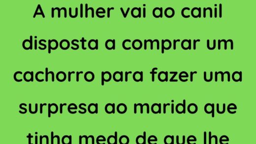 A mulher vai ao canil disposta