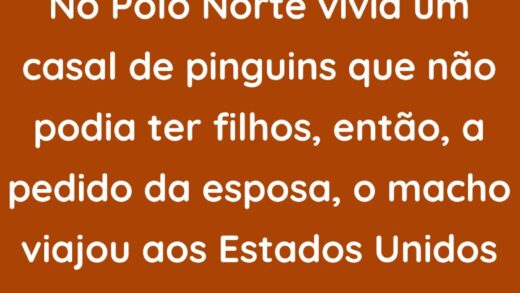 No Pólo Norte vivia um casal de pinguins