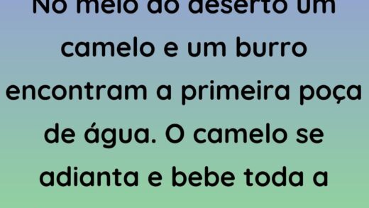 No meio do deserto um camelo e um burro encontram