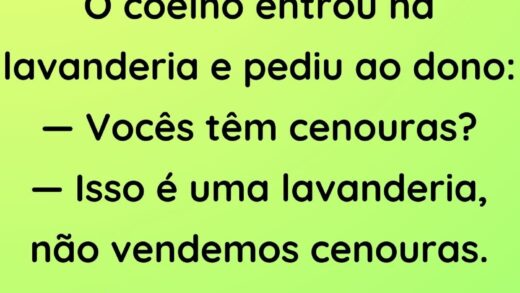 O coelho entrou na lavanderia e pediu ao dono