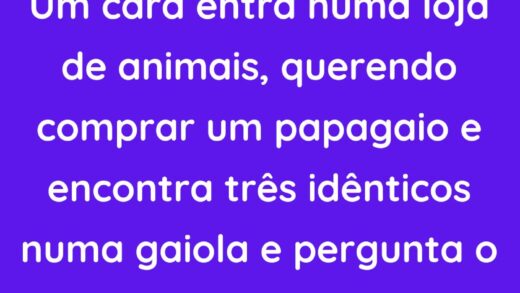 Um cara entra numa loja de animais