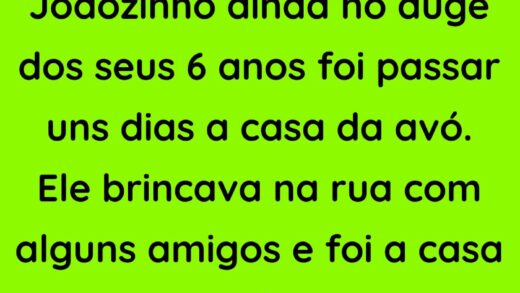 Joãozinho ainda no auge dos seus 6 anos foi passar