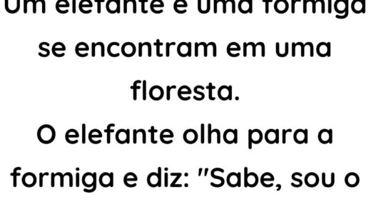 Um elefante e uma formiga se encontram