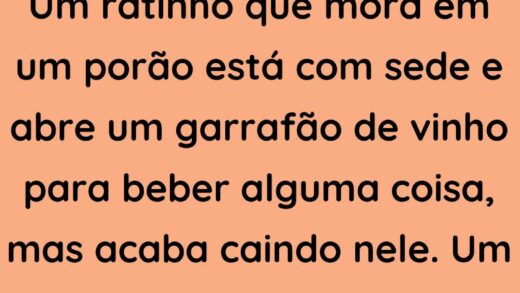 Um ratinho que mora em um porão