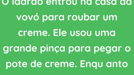 O ladrão entrou na casa da vovó para roubar