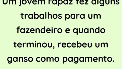 Um jovem rapaz fez alguns trabalhos para um fazendeiro