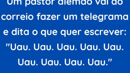 Um pastor alemão vai ao correio fazer