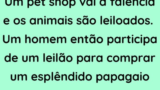 Um pet shop vai à falência e os animais