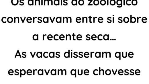 Os animais do zoológico estavam conversando