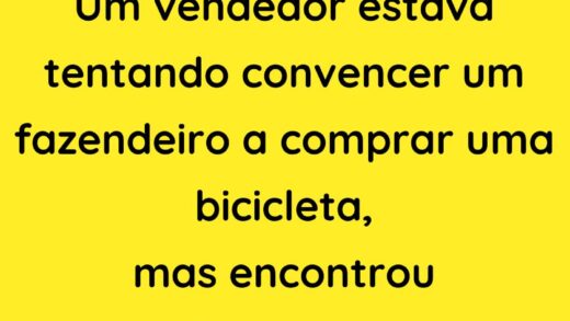 Um vendedor estava tentando convencer