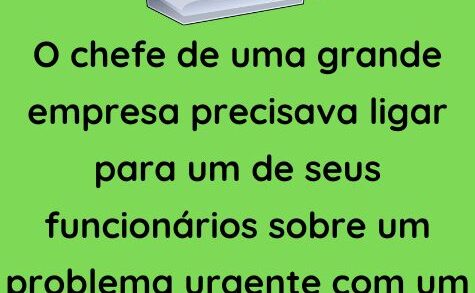 O chefe de uma grande empresa precisava ligar