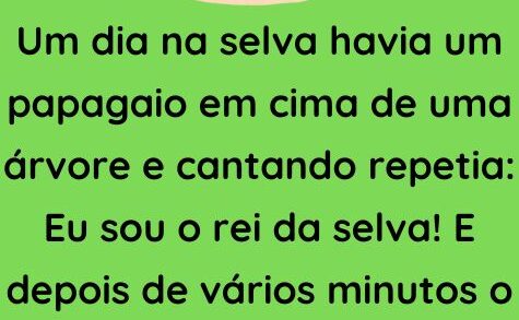 Um dia na selva havia um papagaio