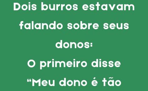 Dois burros estavam falando sobre seus donos