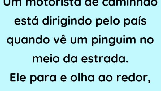 Aventura do Pinguim com o Motorista de Caminhao