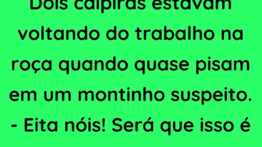 Dois caipiras estavam voltando do trabalho